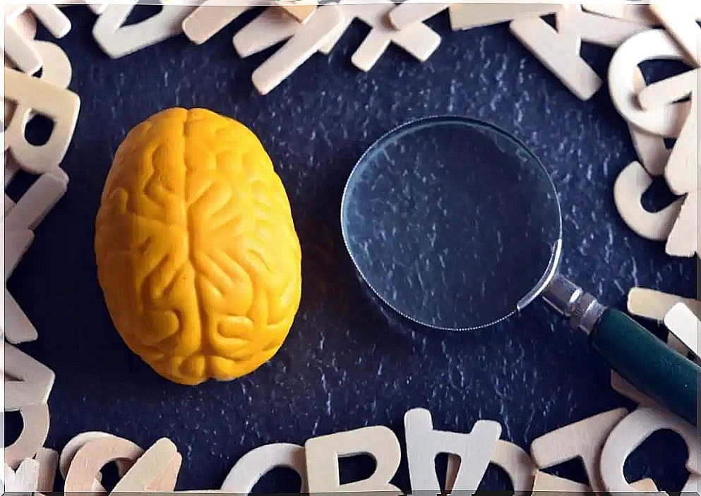 A brain and a magnifying glass