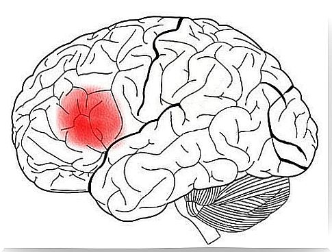 Broca's area in the brain