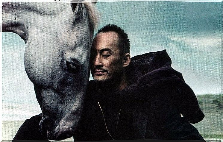 Man Holding His Head To A Horse's Head As An Example Of Emotional Caresses