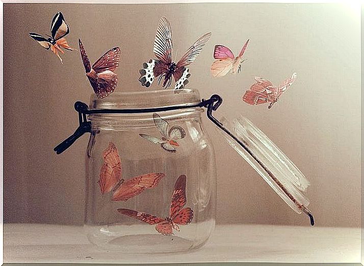 Butterflies Flying Out Of A Jar