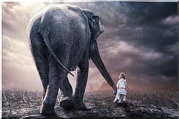 Child with Elephant